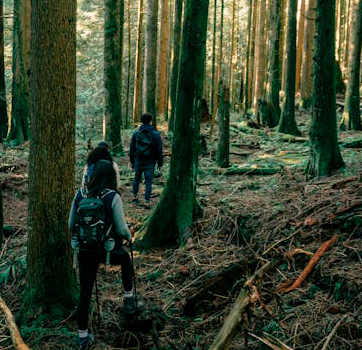 Tem building en Avalon Sacred Place